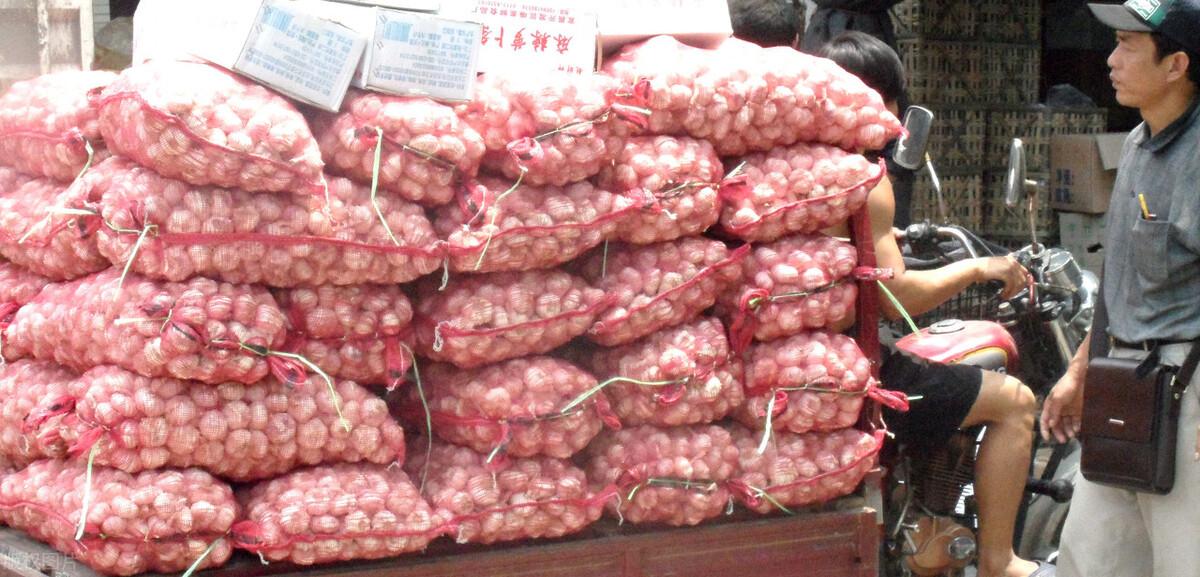 金鄉(xiāng)縣大蒜最新價(jià)格揭秘，小巷深處的蒜香寶藏