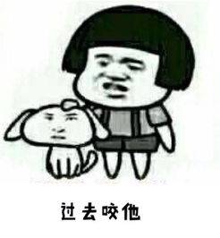 最新幽默搞笑圖片，自信與成就感的快樂源泉！